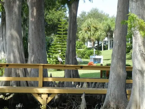 5588 Gulf Stream Street Tavares FL 32778