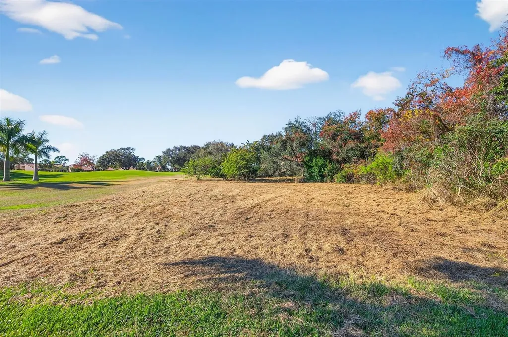 Royal Palm Drive S Gulfport FL 33707