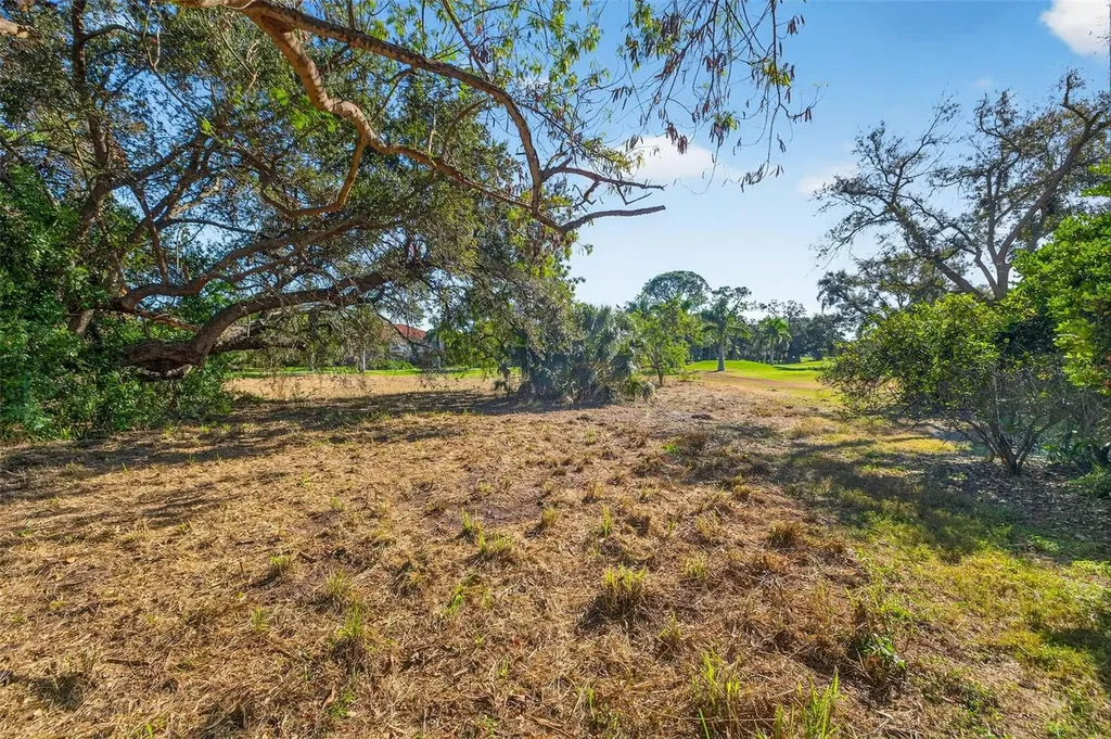 Royal Palm Drive S Gulfport FL 33707