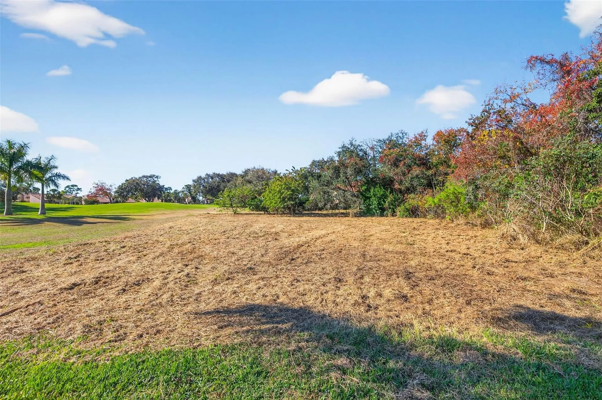 Royal Palm Drive S Gulfport FL 33707