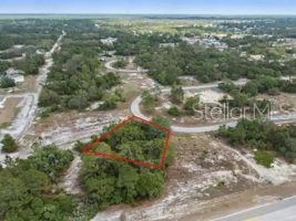 1329 Homosassa Court Kissimmee FL 34759