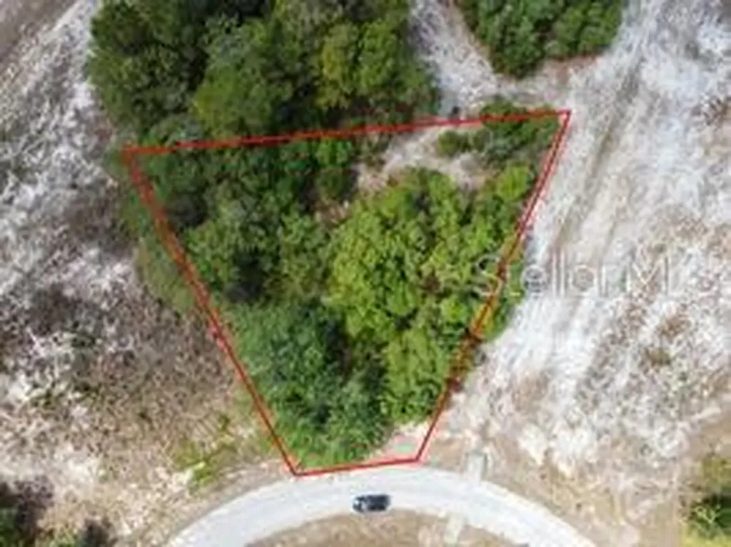 1329 Homosassa Court Kissimmee FL 34759
