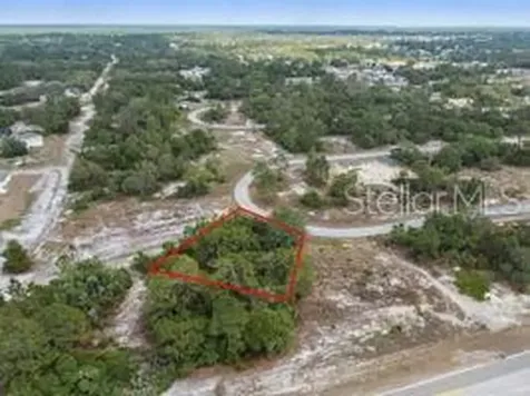 1329 Homosassa Court Kissimmee FL 34759