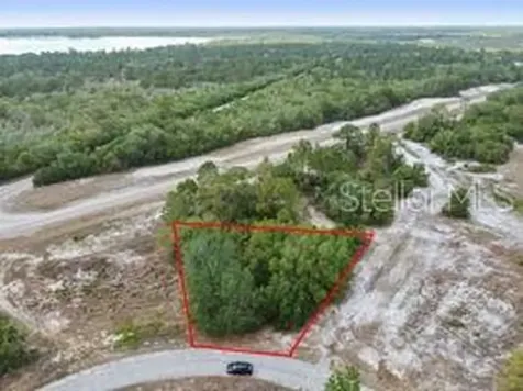 1329 Homosassa Court Kissimmee FL 34759