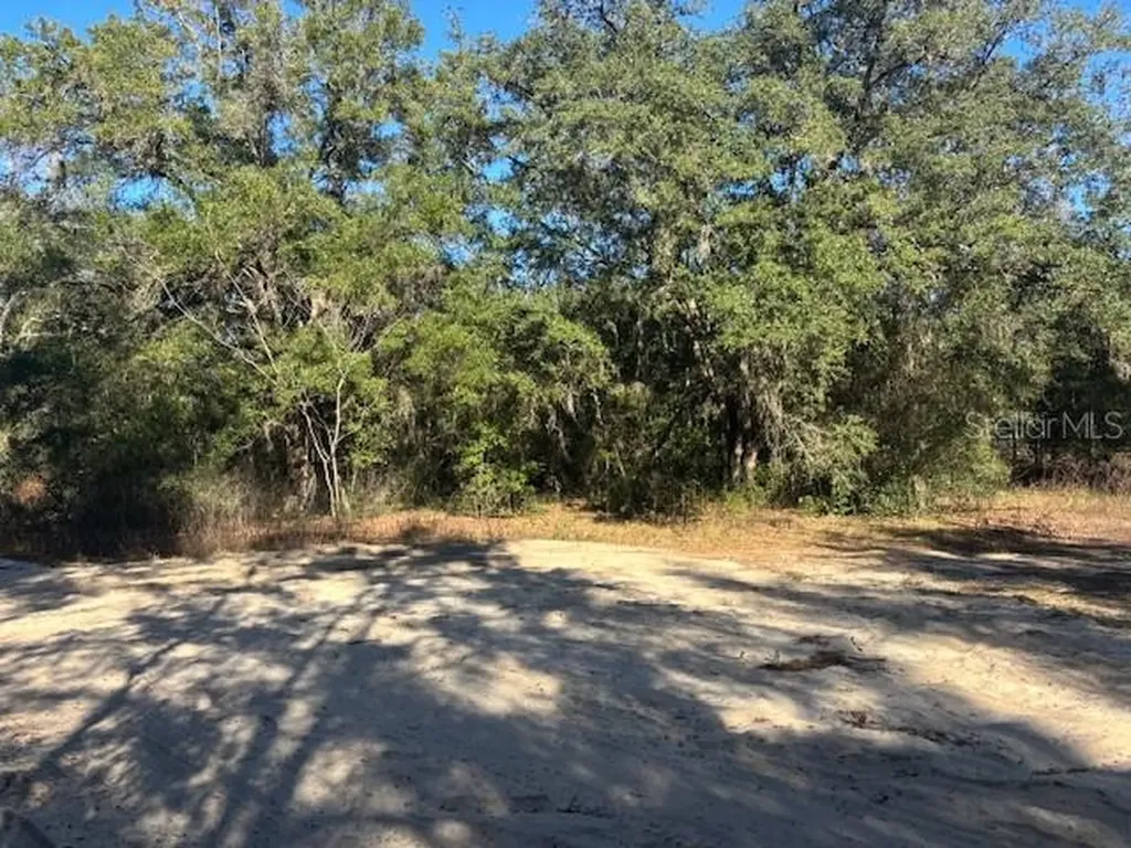0000 NW 56th Terrace Ocala FL 34482