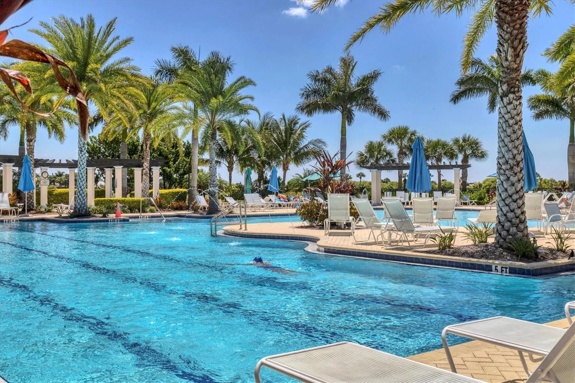 24172 Spartina Drive Venice FL 34293