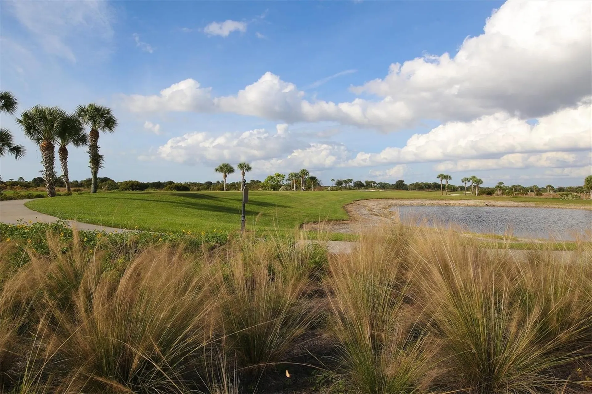 24172 Spartina Drive Venice FL 34293