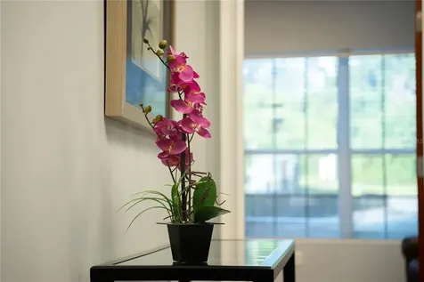 523 Wekiva Commons Circle Apopka FL 32712