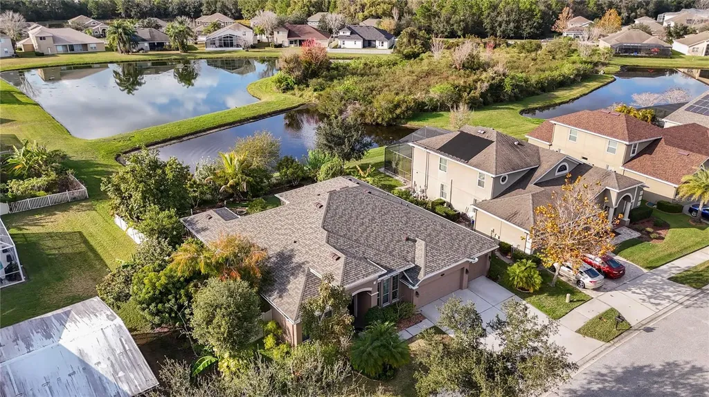 20261 Ravens End Drive Tampa FL 33647