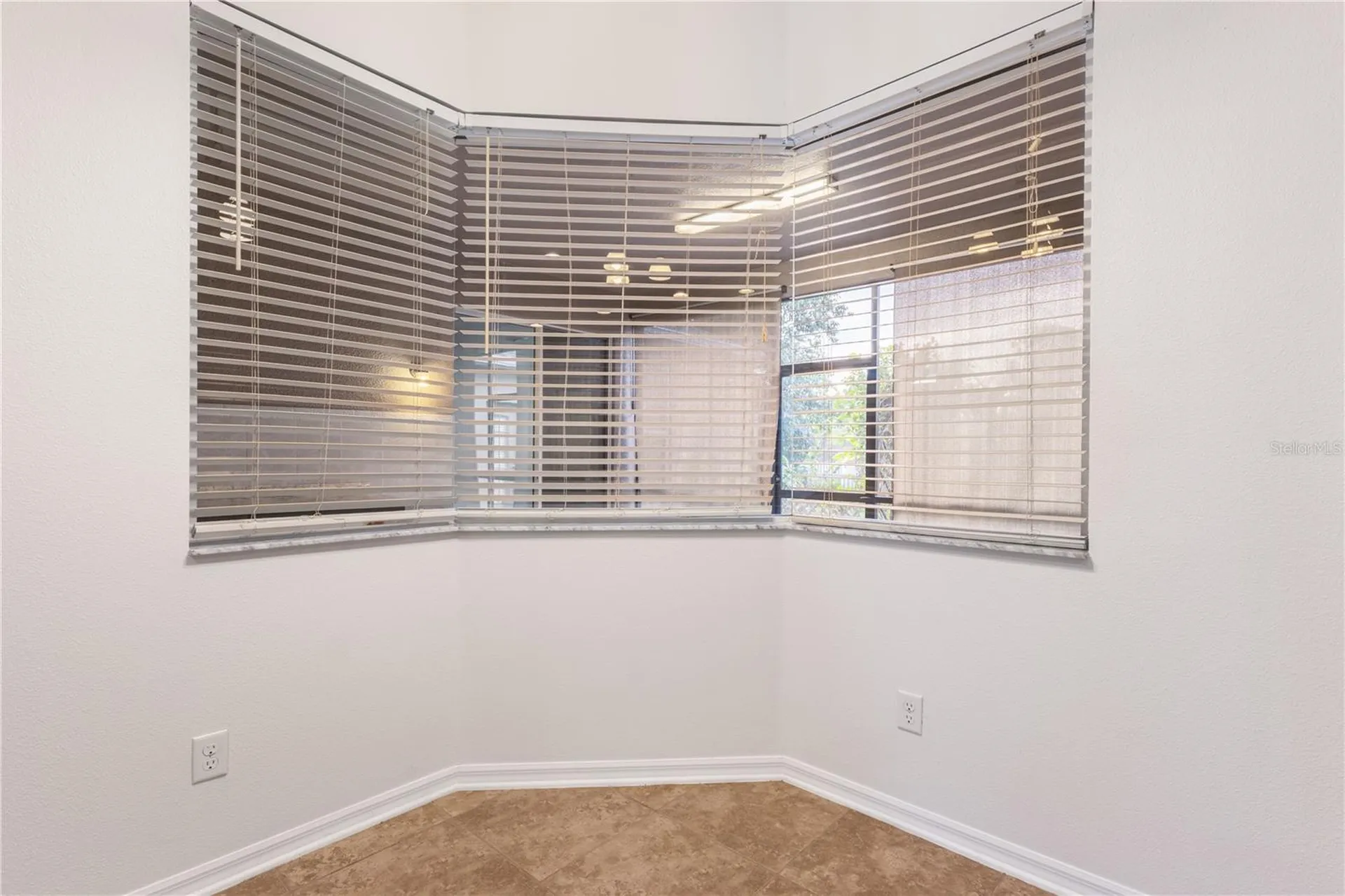 20261 Ravens End Drive Tampa FL 33647