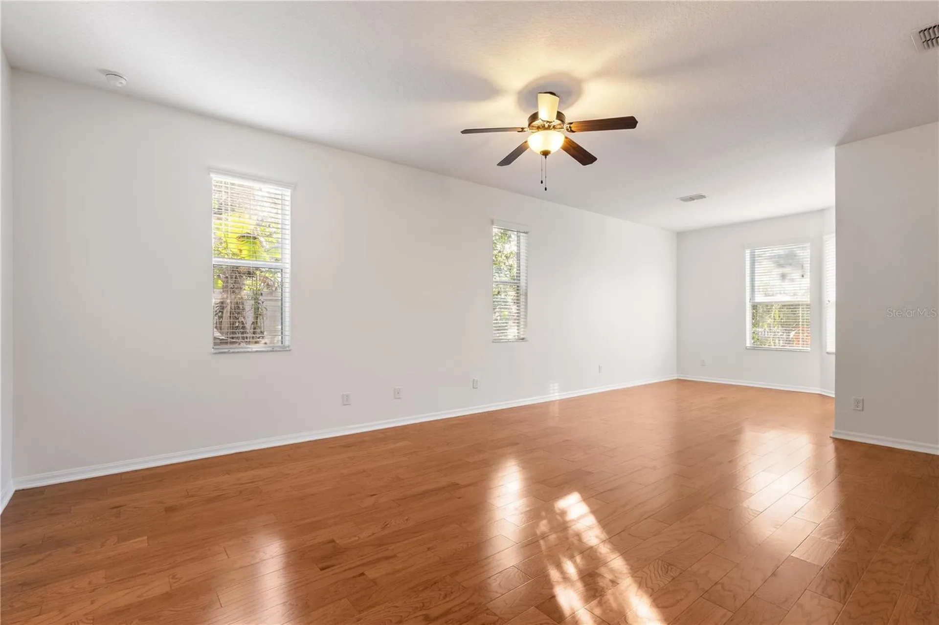 20261 Ravens End Drive Tampa FL 33647