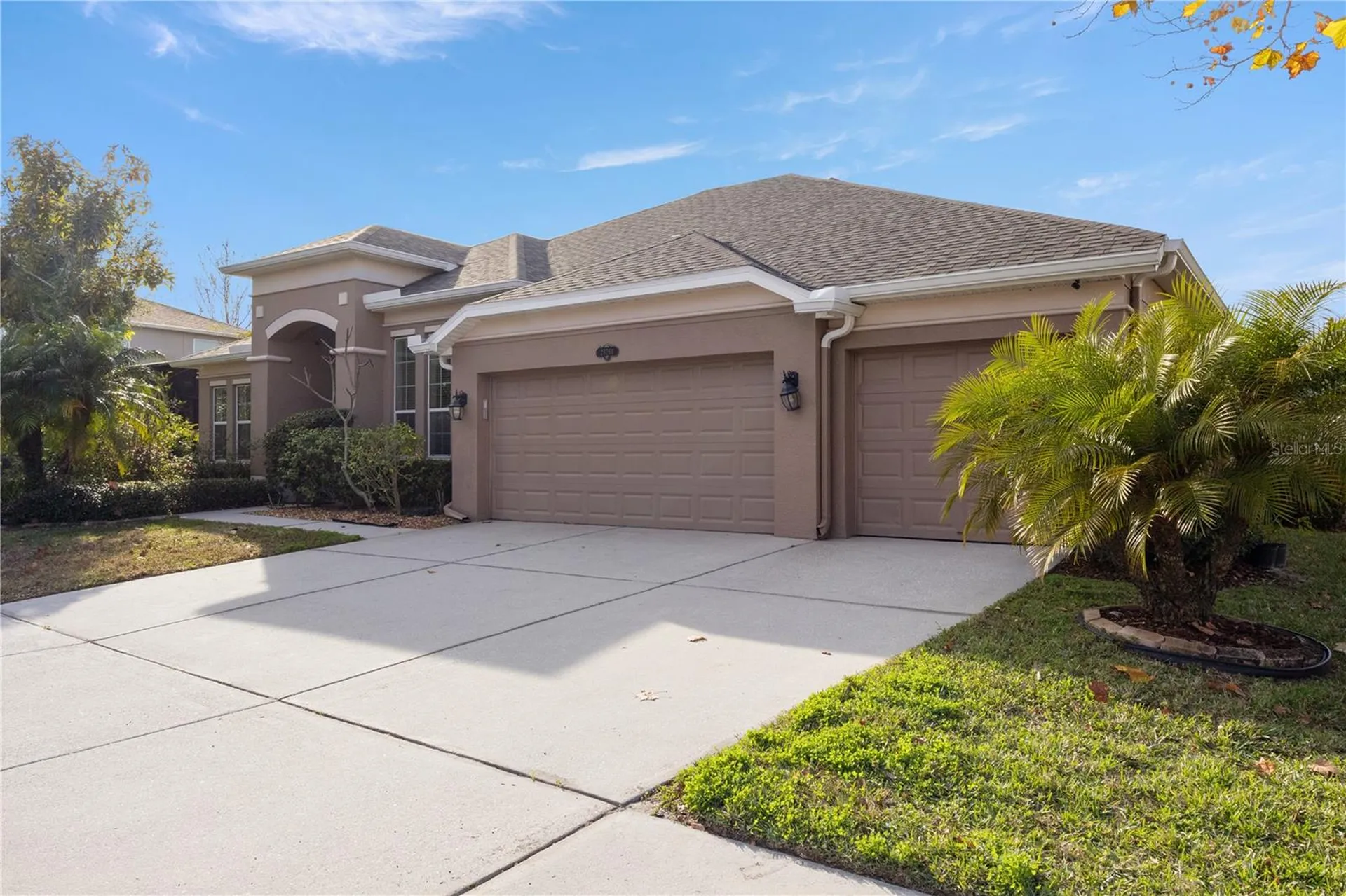 20261 Ravens End Drive Tampa FL 33647