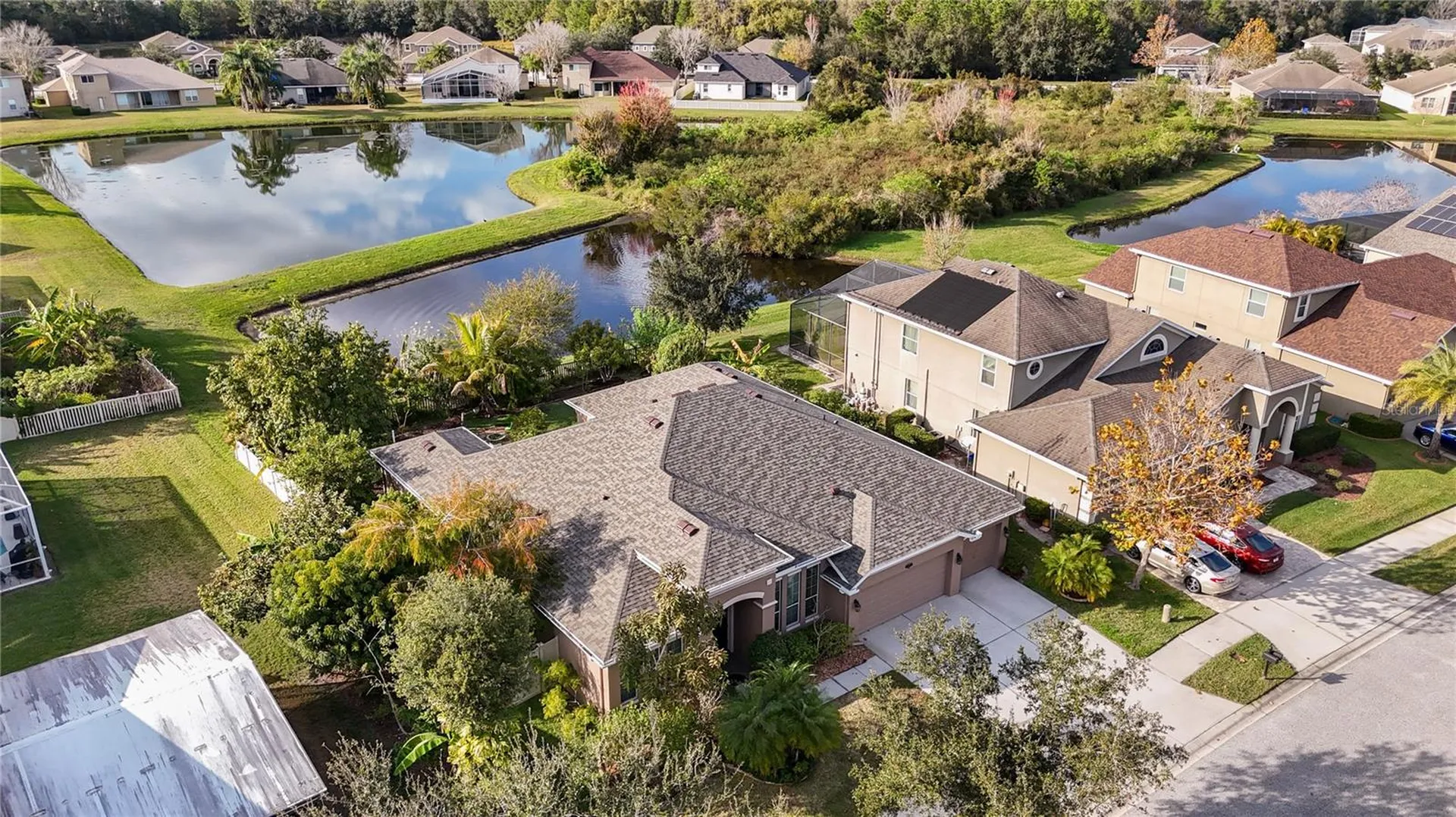 20261 Ravens End Drive Tampa FL 33647