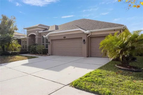 20261 Ravens End Drive Tampa FL 33647