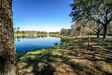 8180 Boat Hook Loop Windermere FL 34786