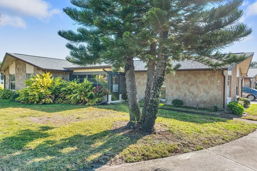 2850 Highlands Boulevard Palm Harbor FL 34684