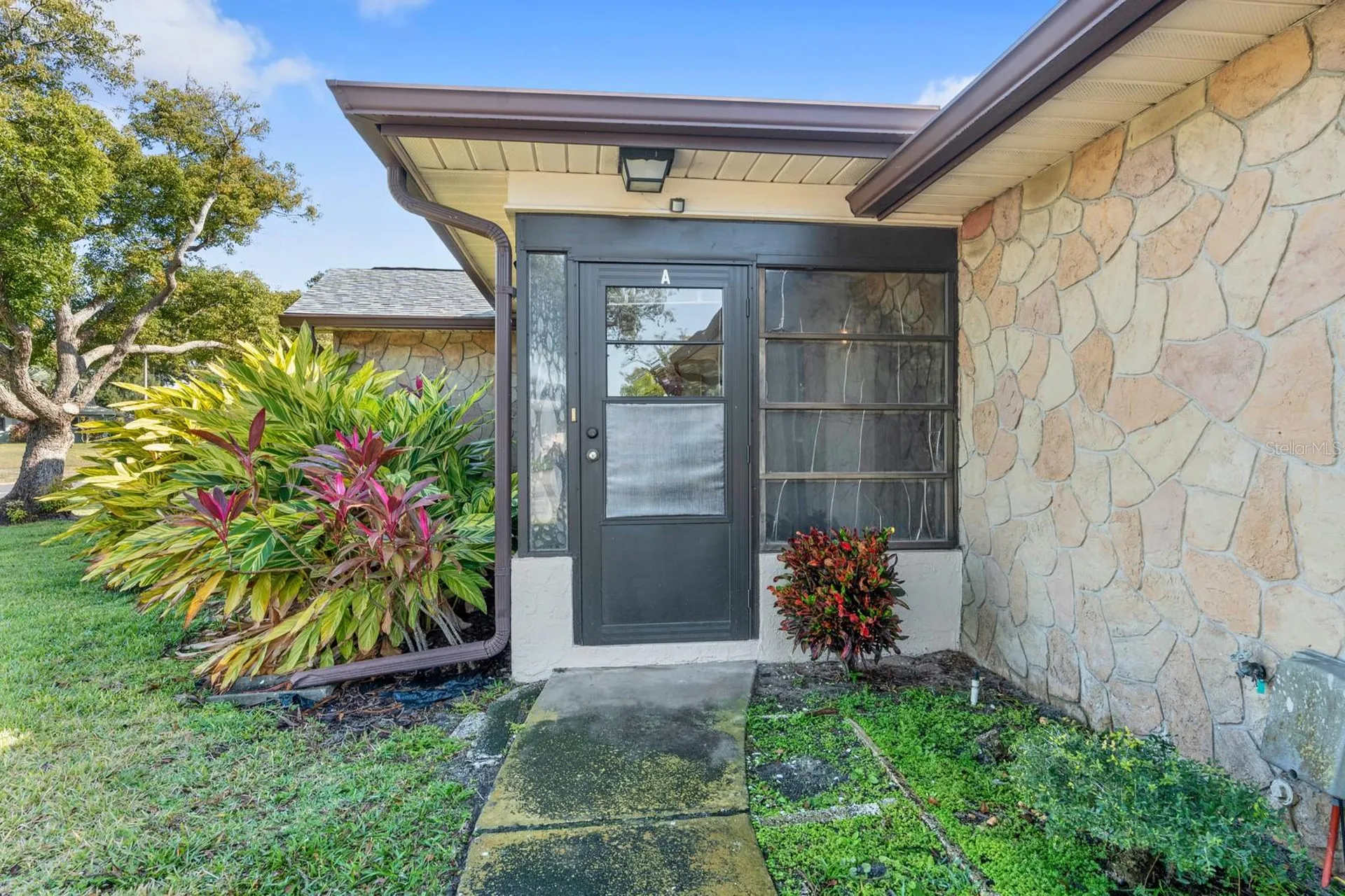 2850 Highlands Boulevard Palm Harbor FL 34684
