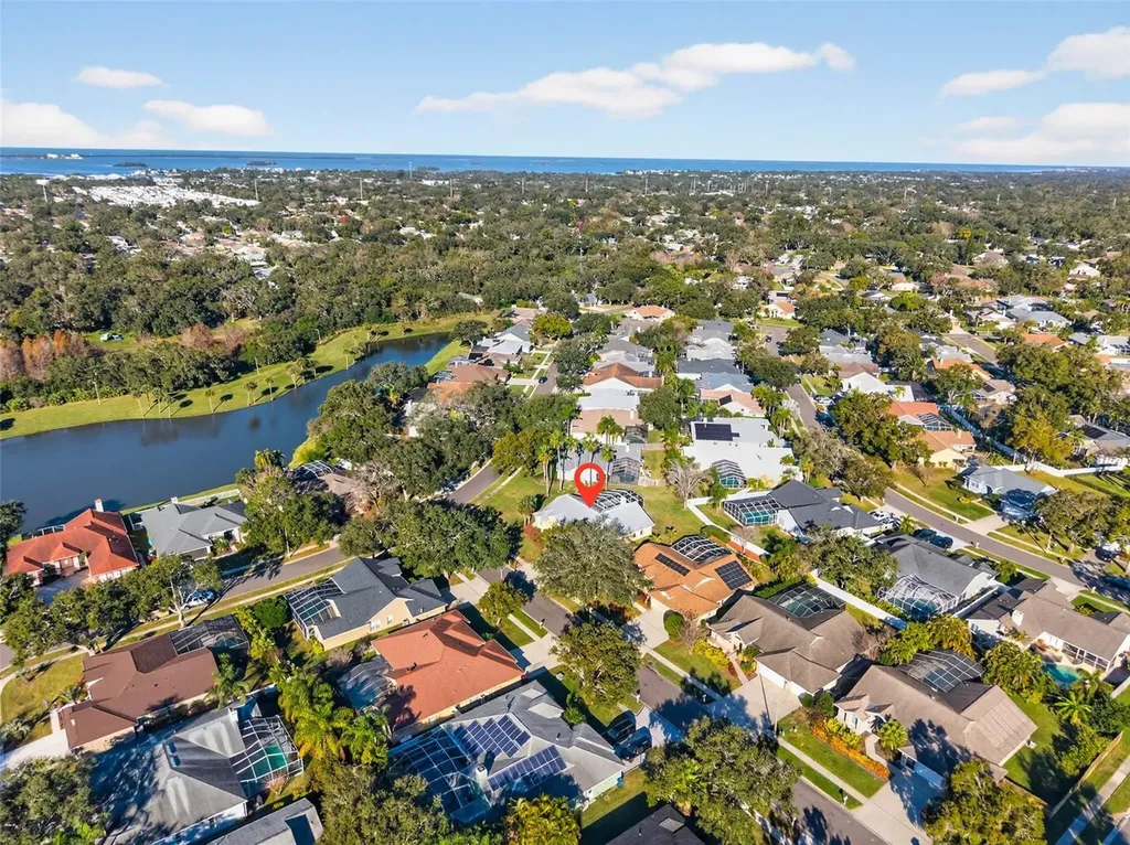 1819 Tree Swallow Way Palm Harbor FL 34683