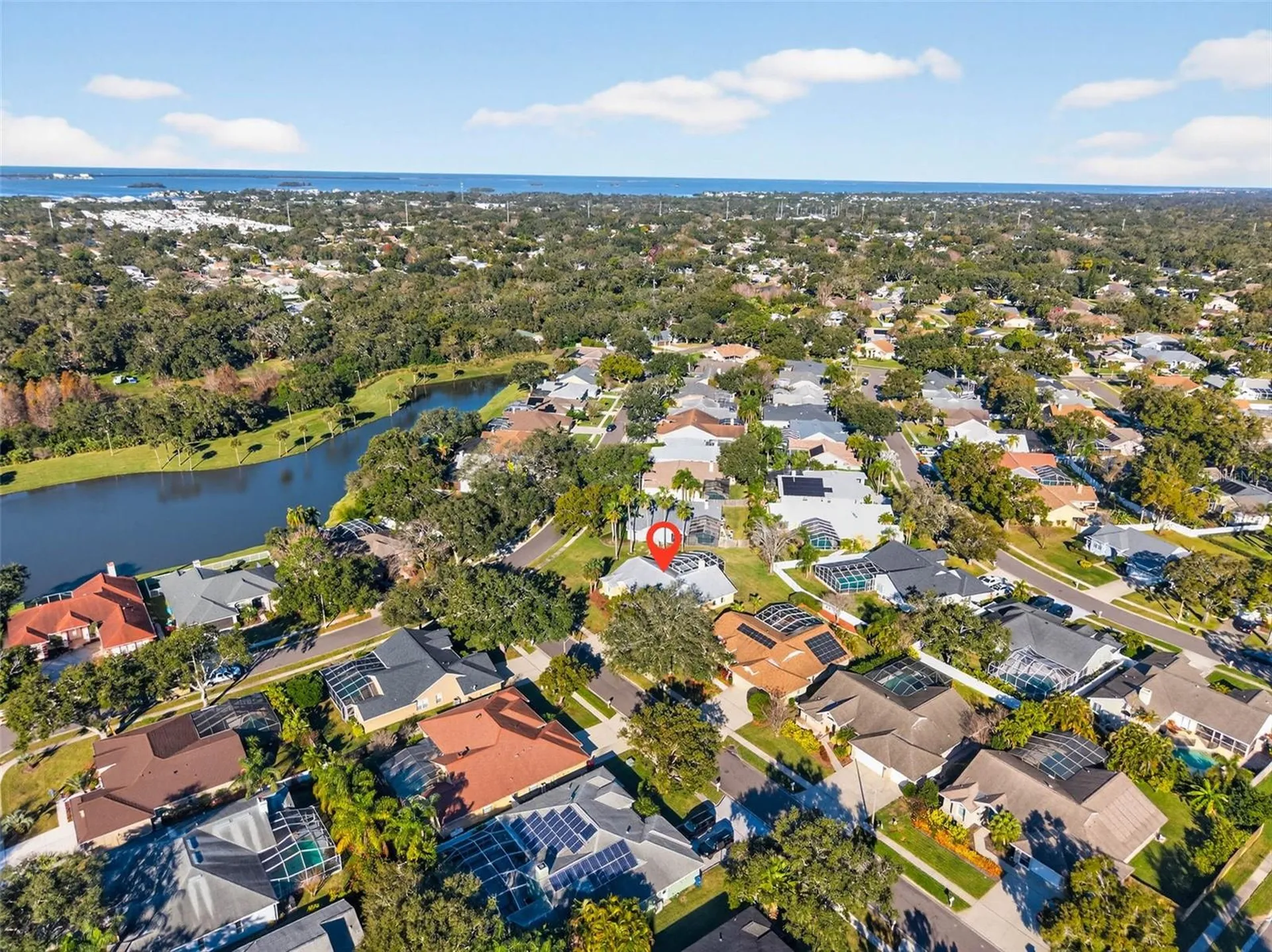 1819 Tree Swallow Way Palm Harbor FL 34683