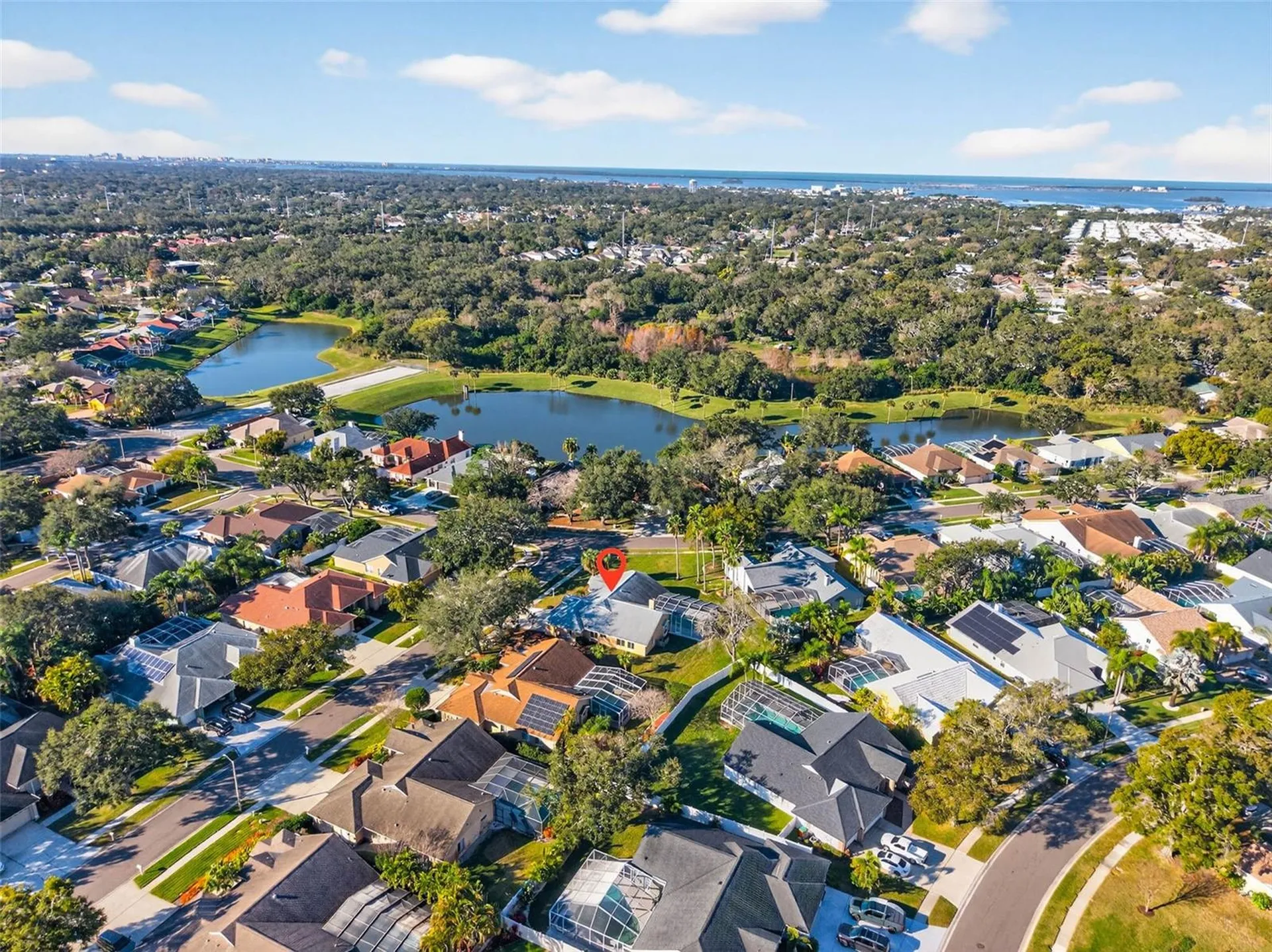 1819 Tree Swallow Way Palm Harbor FL 34683