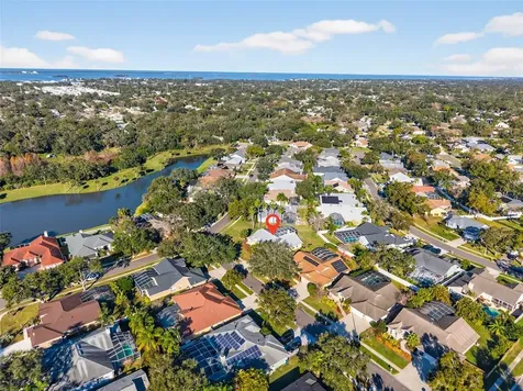 1819 Tree Swallow Way Palm Harbor FL 34683