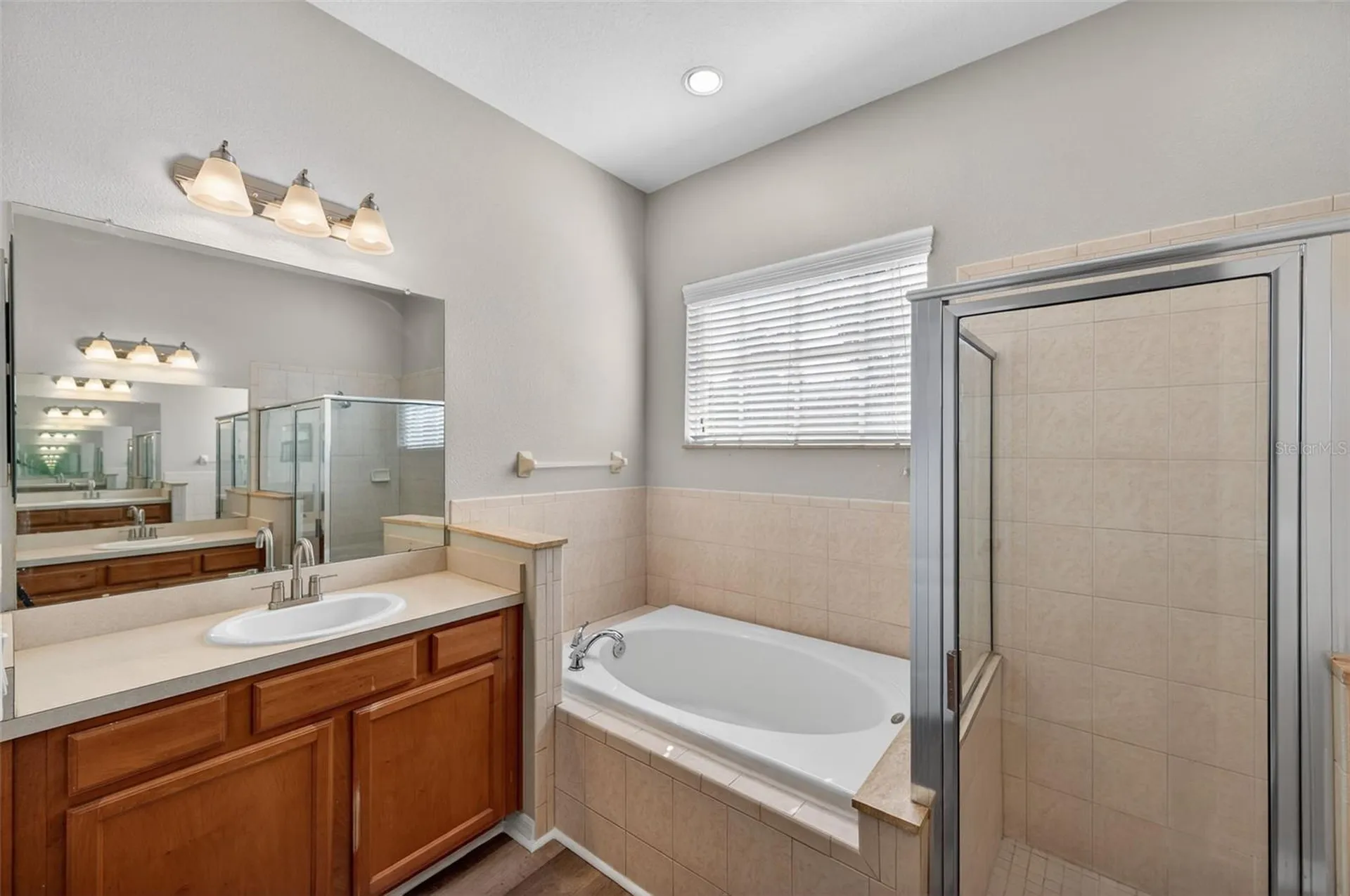 2541 Centennial Falcon Drive Valrico FL 33596