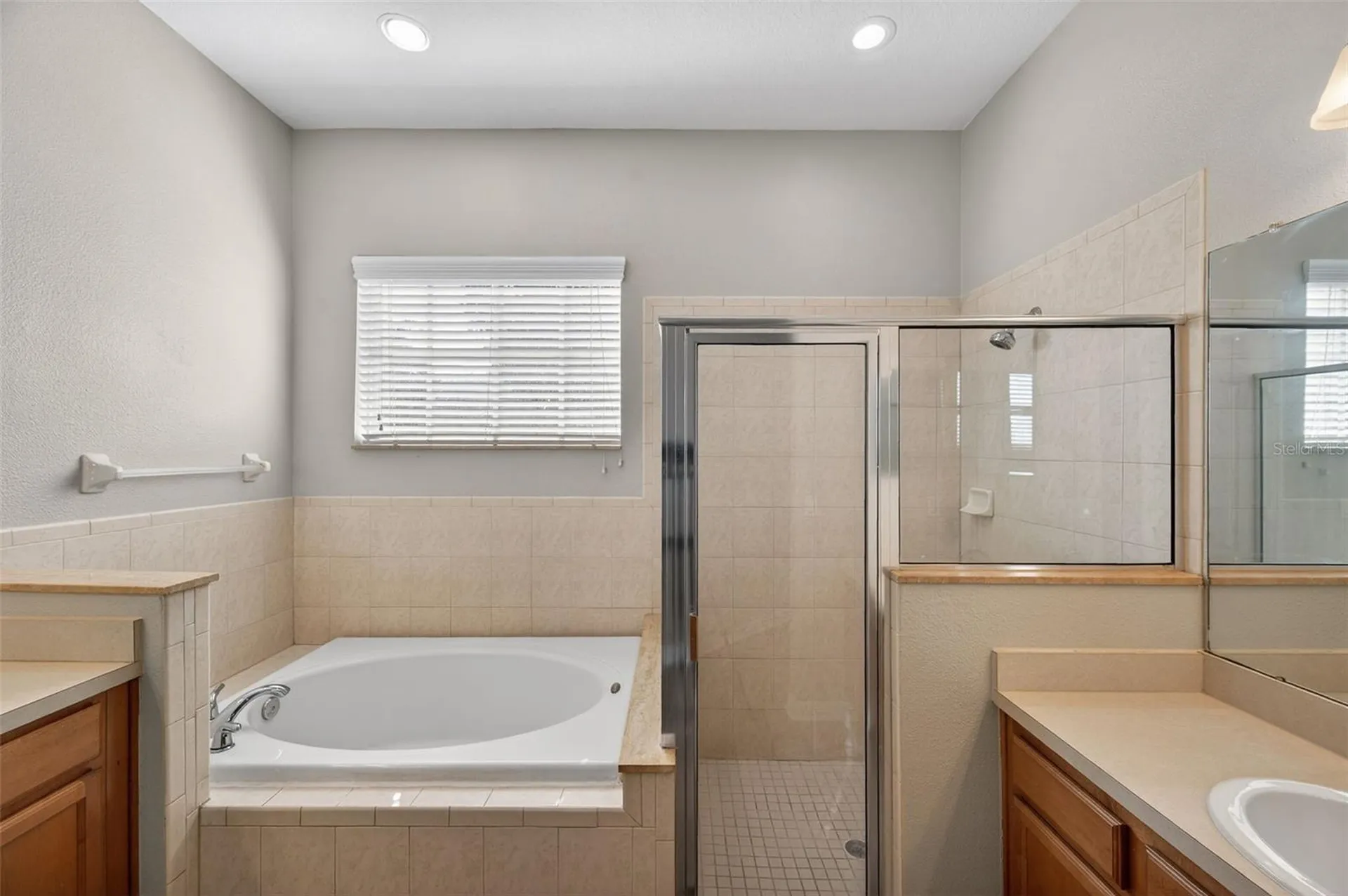 2541 Centennial Falcon Drive Valrico FL 33596