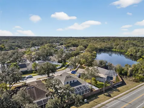 2541 Centennial Falcon Drive Valrico FL 33596