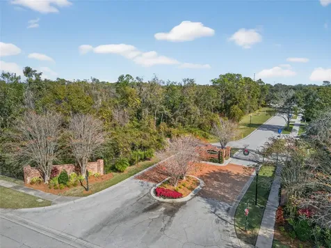 2541 Centennial Falcon Drive Valrico FL 33596