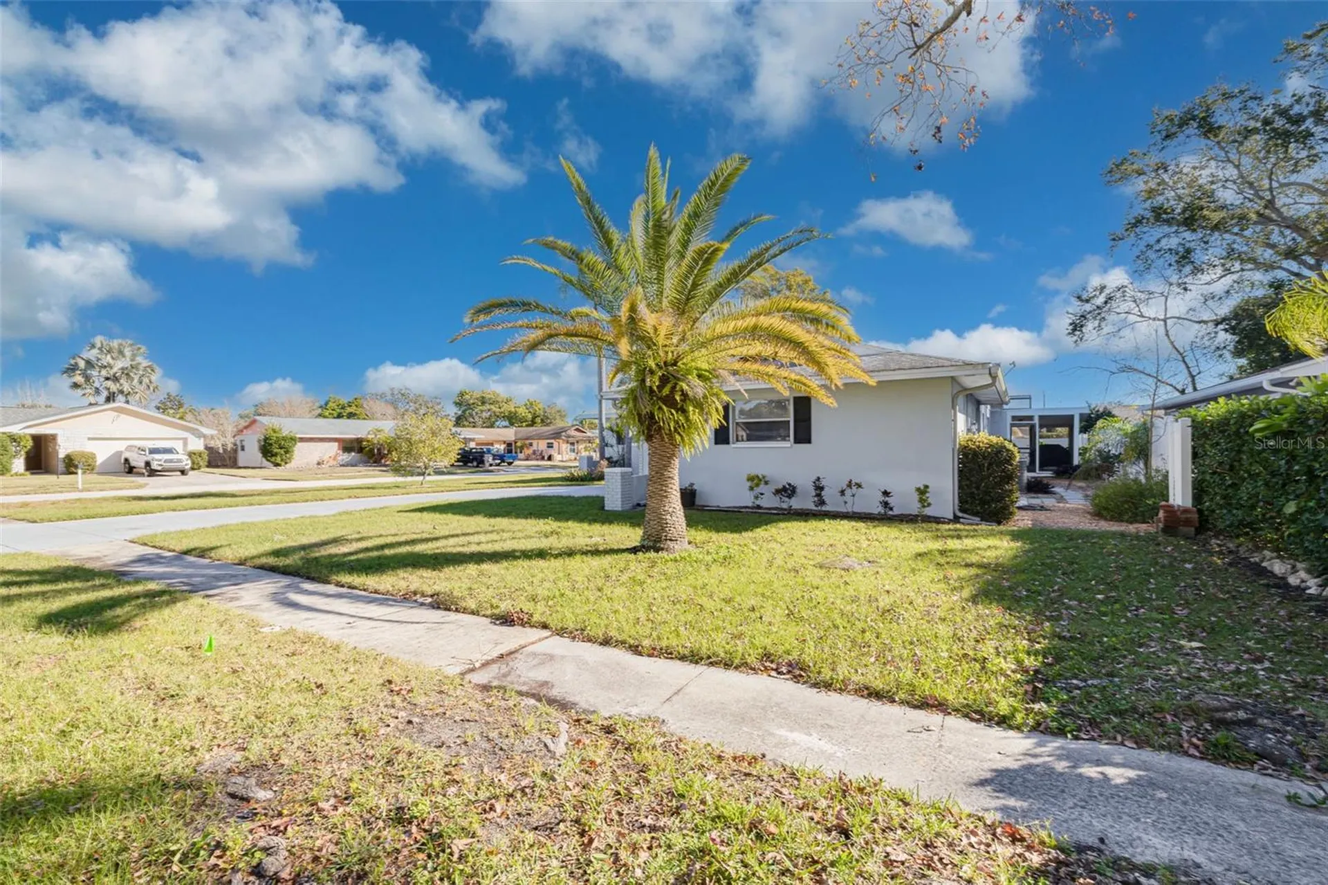 2959 Hickory Court Dunedin FL 34698