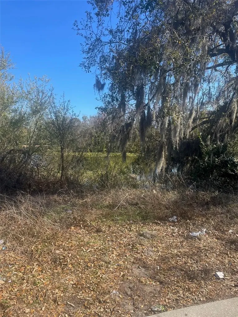 3301 N Lake Drive Plant City FL 33563