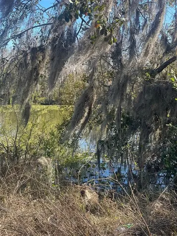 3301 N Lake Drive Plant City FL 33563