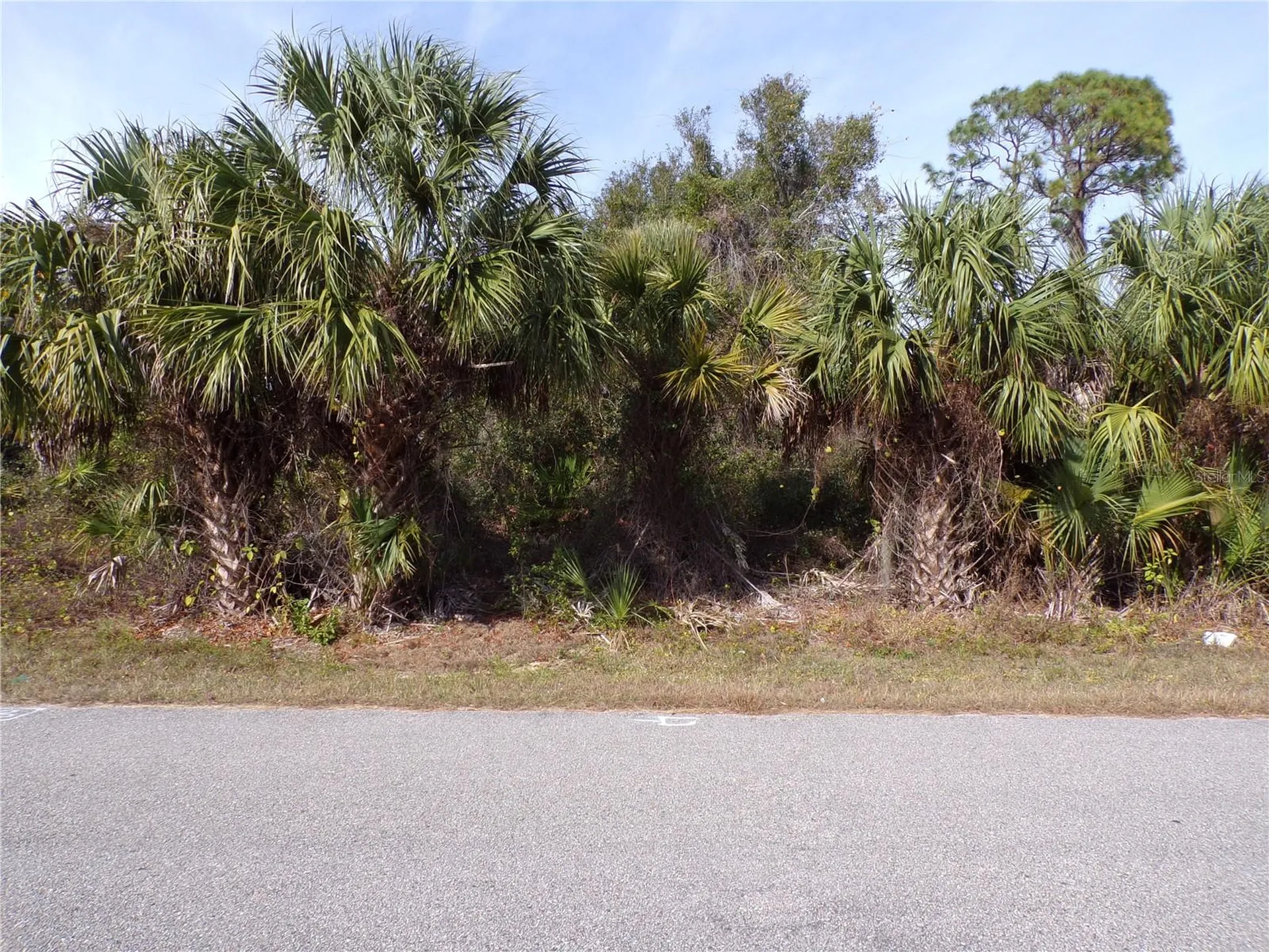 Brewster Road North Port FL 34288