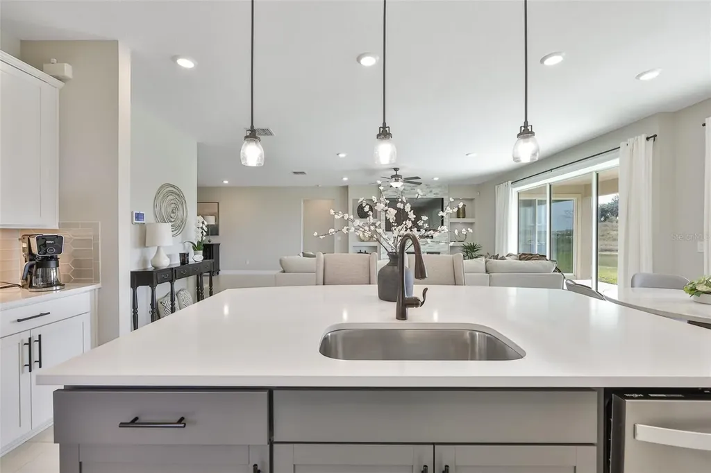 9497 Ibis Grove Boulevard Wesley Chapel FL 33545