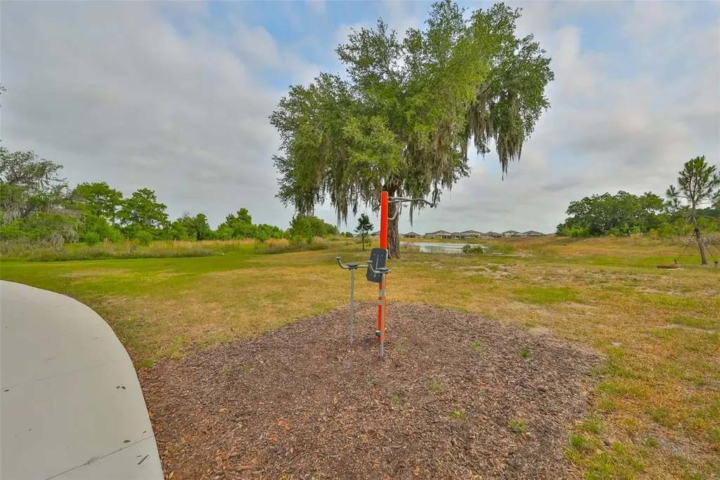 9497 Ibis Grove Boulevard Wesley Chapel FL 33545