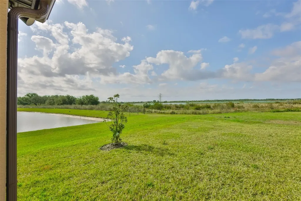 9497 Ibis Grove Boulevard Wesley Chapel FL 33545