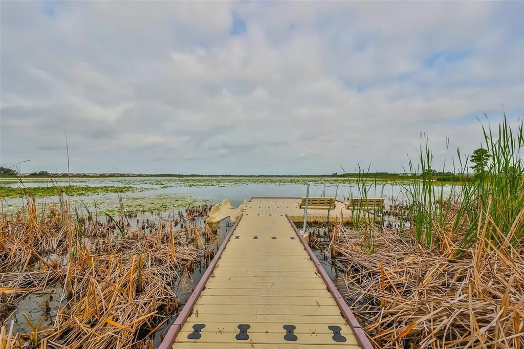 9497 Ibis Grove Boulevard Wesley Chapel FL 33545