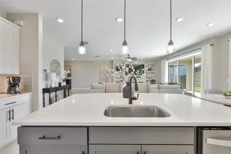9497 Ibis Grove Boulevard Wesley Chapel FL 33545