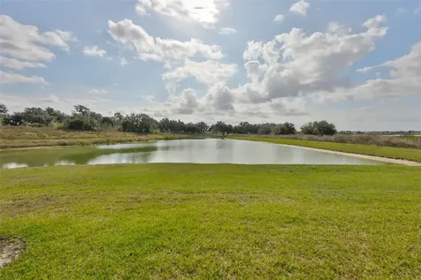 9497 Ibis Grove Boulevard Wesley Chapel FL 33545