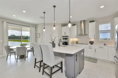 9497 Ibis Grove Boulevard Wesley Chapel FL 33545