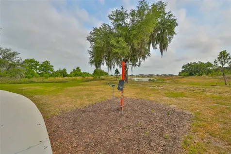 9497 Ibis Grove Boulevard Wesley Chapel FL 33545