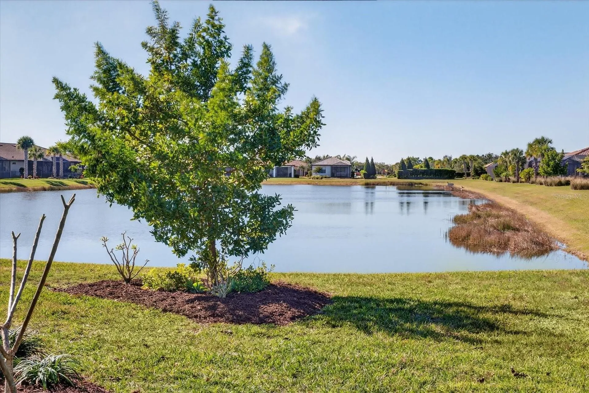 7683 Summerland Cove Lakewood Ranch FL 34202