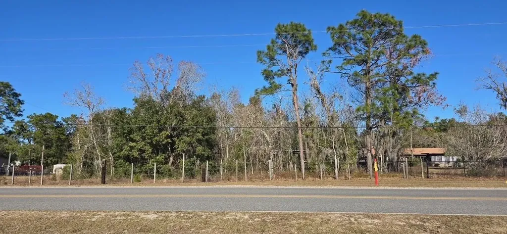 7195 Gas Line Road Keystone Heights FL 32656