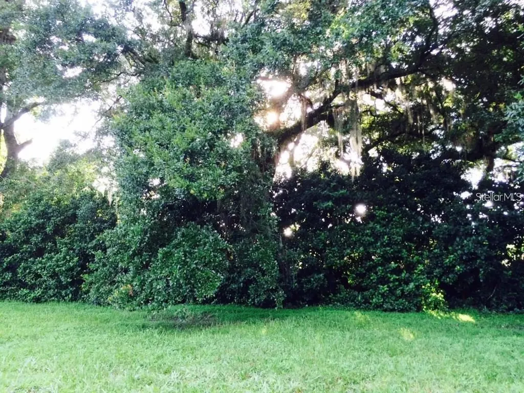 111 Frederick Street Interlachen FL 32148