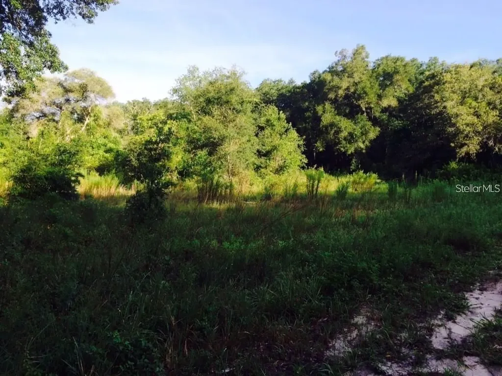 111 Frederick Street Interlachen FL 32148