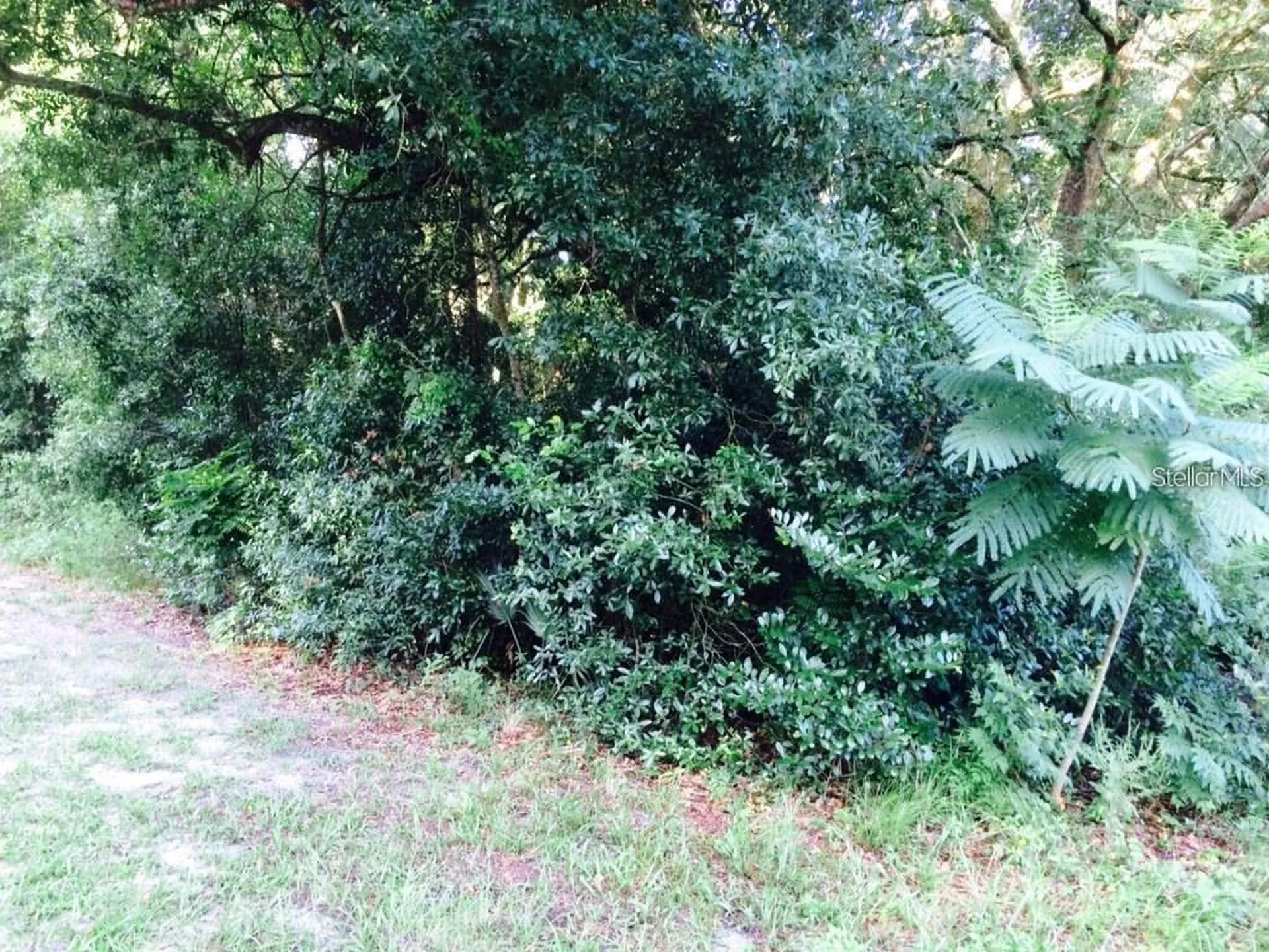 111 Frederick Street Interlachen FL 32148