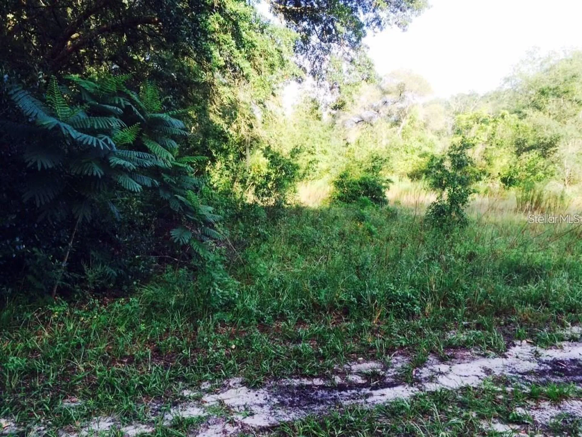 111 Frederick Street Interlachen FL 32148