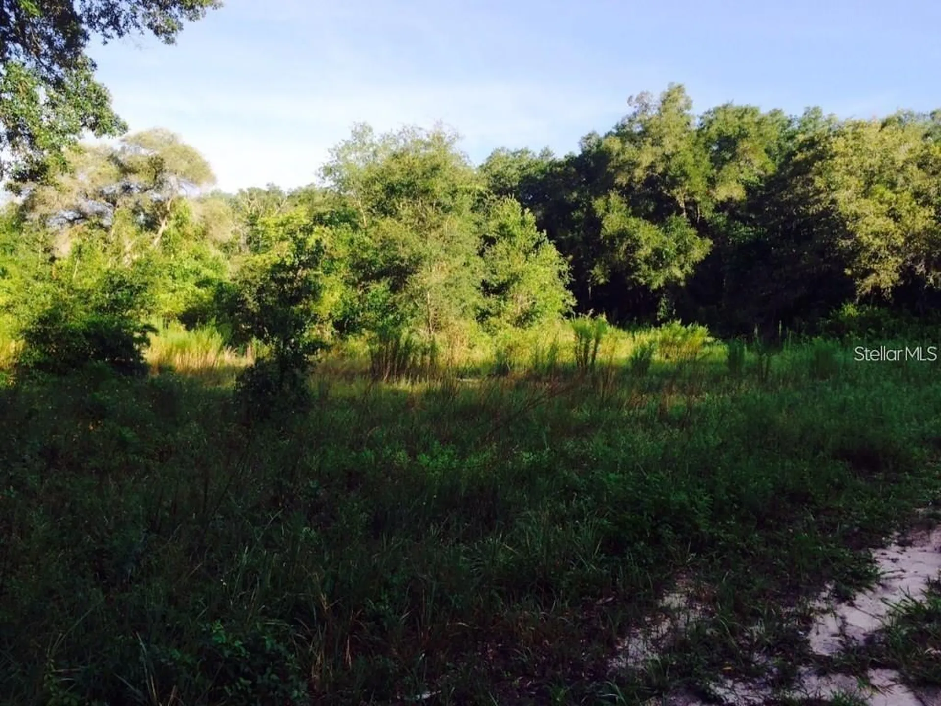 111 Frederick Street Interlachen FL 32148