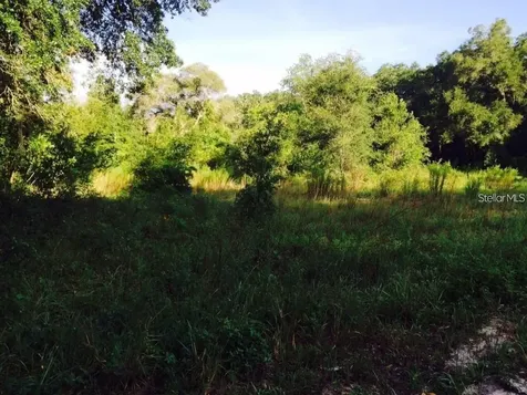 111 Frederick Street Interlachen FL 32148