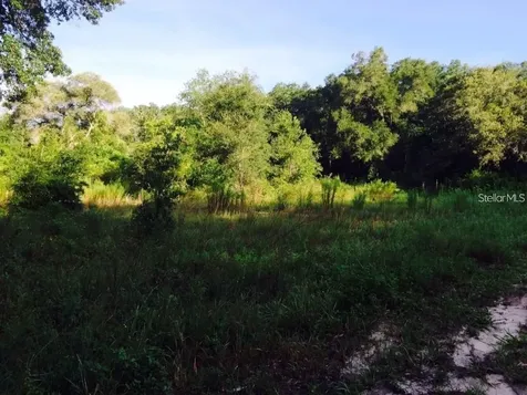 111 Frederick Street Interlachen FL 32148